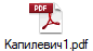 Капилевич1.pdf