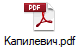 Капилевич.pdf