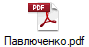Павлюченко.pdf