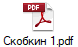 Скобкин 1.pdf