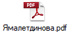 Ямалетдинова.pdf