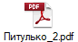 Питулько_2.pdf