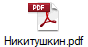 Никитушкин.pdf