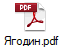 Ягодин.pdf