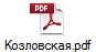 Козловская.pdf