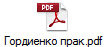 Гордиенко прак.pdf