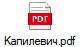Капилевич.pdf