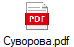 Суворова.pdf