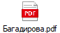 Багадирова.pdf