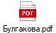 Булгакова.pdf