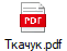 Ткачук.pdf