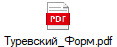 Туревский_Форм.pdf