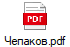 Чепаков.pdf