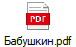 Бабушкин.pdf