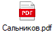 Сальников.pdf