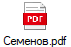 Семенов.pdf
