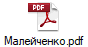 Малейченко.pdf