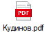 Кудинов.pdf