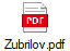 Zubrilov.pdf