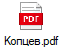 Копцев.pdf